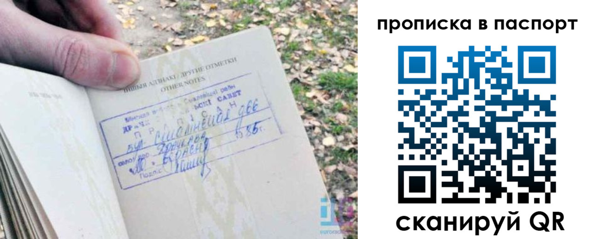 купить прописку в Саранске